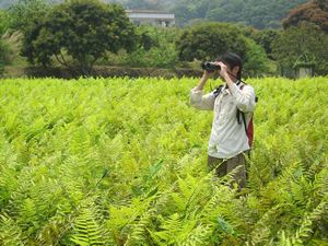 生態調查